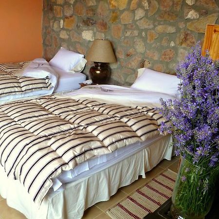 فيلا La Calandria Casa De Campo بويرتو مادرين الغرفة الصورة