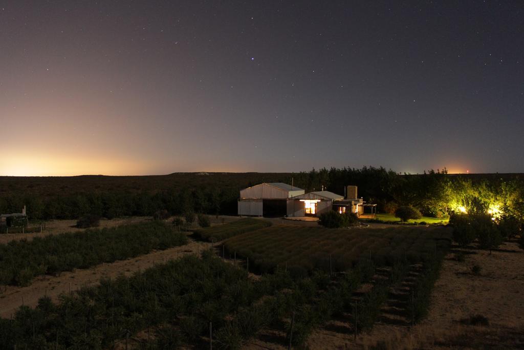 فيلا La Calandria Casa De Campo بويرتو مادرين المظهر الخارجي الصورة