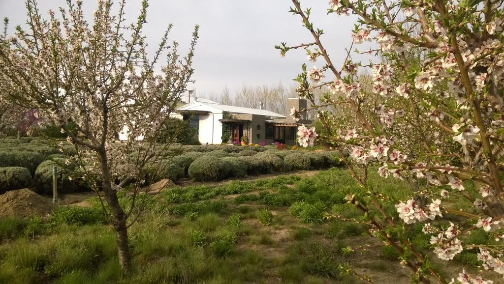 فيلا La Calandria Casa De Campo بويرتو مادرين المظهر الخارجي الصورة