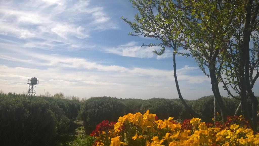 فيلا La Calandria Casa De Campo بويرتو مادرين المظهر الخارجي الصورة